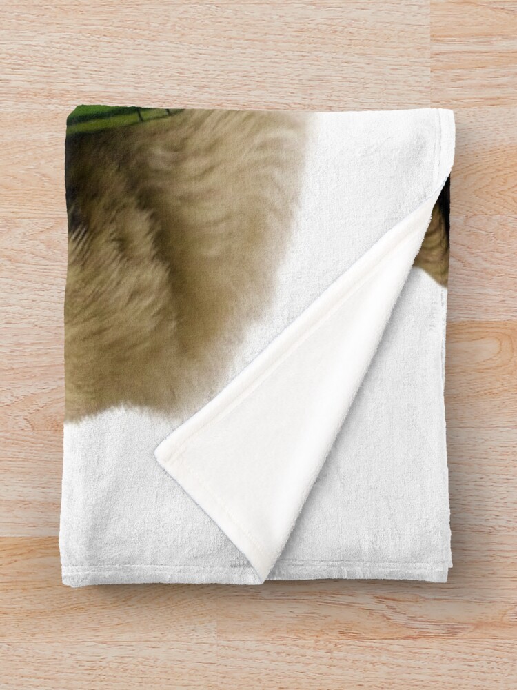 urblanket_medium_foldwide_portraitx1000.1u8-3 urblanket medium foldwide portraitx1000.1u8 3 - Pug Shop UK